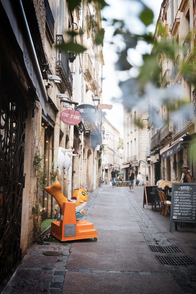 Photographie d'une ruelle ancienne, dont certains bâtiments sont un mix entre une base médiévale et un renouveau haussmannien. 
En haut au premier plan une plante en fleur bleu/violet. La mise au point est effectué sur un jouet automatique pour enfant qui représente un poisson sur lequel on peut s'asseoir. A droite une devanture de restaurant avec une pancarte en ardoise posée sur le sol, permettant de détailler un menu. A gauche plusieurs devanture dont une d'un magasin de décoration. Deux cygnes sont accrochés le long de la porte, semblant nager sur le mur. Au loin, au centre, plusieurs personnes marchent.