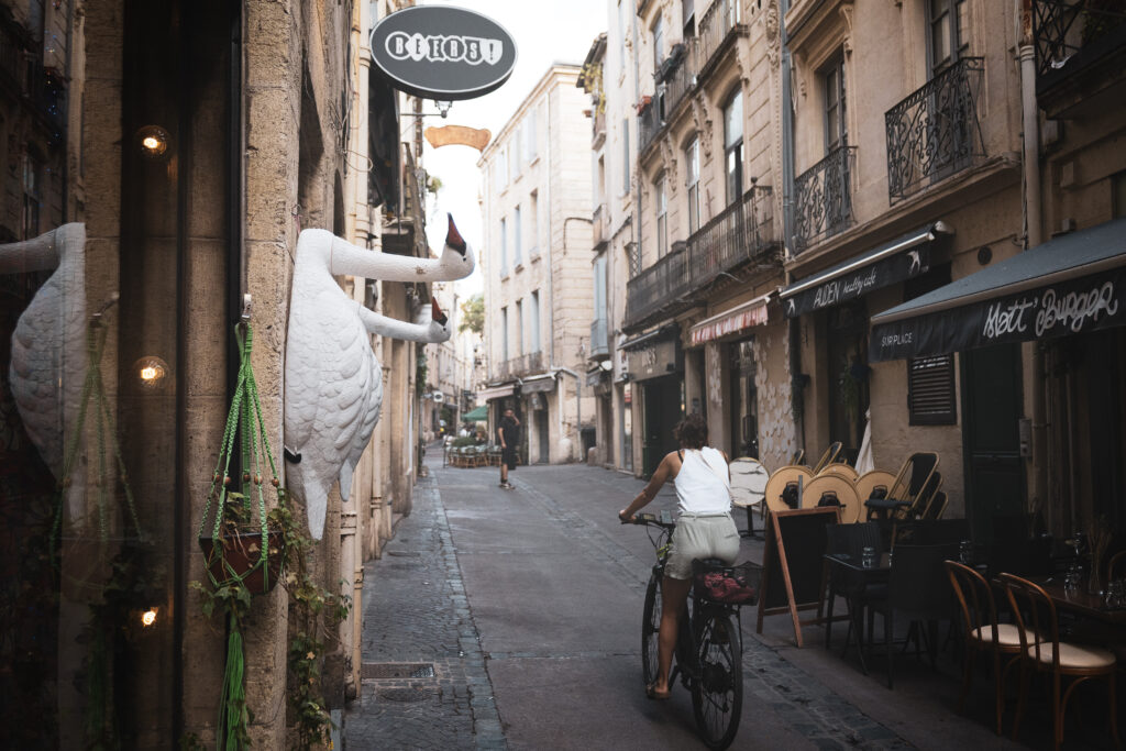 Photographie d'une rue mélangeant des bâtiments de style médiéval avec des bâtiments haussmanniens. En bas, vers le centre, une personne en vélo est en train de remonter la rue. Son t-shirt blanc fait écho à deux cygnes accrochés sur le mur, comme s'ils étaient en train de nager, sur la gauche.