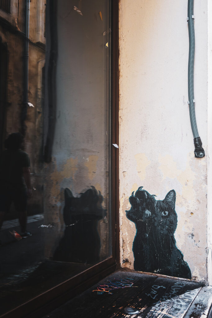 Photographie d'un street art représentant un chat la patte levée et dirigée, ainsi que son oeil, vers un tuyau (réel) qui pend un peu plus haut.