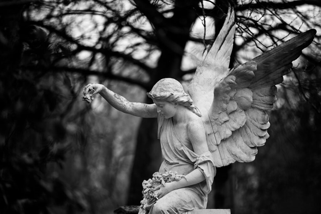 Photographie en noir et blanc d'une statue d'ange, assise sur une tombe. La mise au point est faite sur la statue. Derrière elle, dans le bokeh, on aperçoit un arbre et des branches de végétations diverses. L'ange a le bras levé, dans sa main plusieurs fleurs sculptées, provenant d'une couronne posée sur ses cuisses, sur le point de tomber