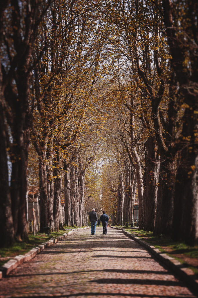 Photographie de deux personnes marchant sur une allée pavée bordée d'arbres dont les branches forment une voute au dessus des marcheurs. Les couleurs sont automnales. La photo a été prise dans une allée du cimetière du Père Lachaise.