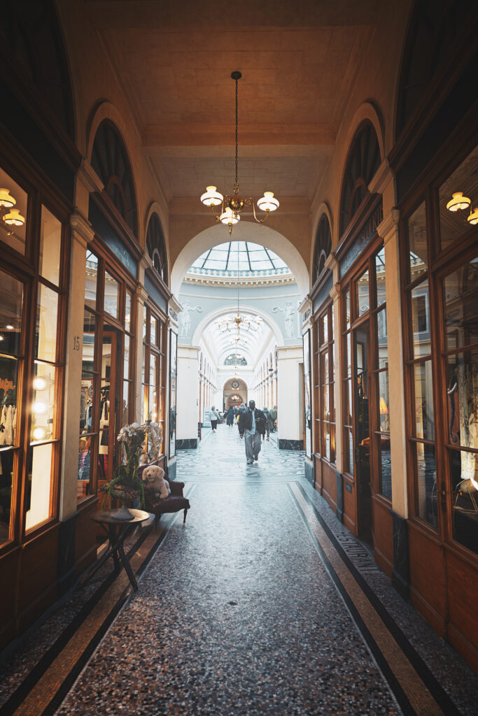 Photographie de l'intérieur de la galerie Vivienne à Paris. On y voit, de part et d'autre de la galerie, les devantures de plusieurs magasins, composées de verres et de bois. Au centre un dome de verre est partiellement visible, apportant la lumière à l'ensemble de la photographie. Plusieurs personnes marchent au fond, l'une d'entre elle le faisant dans ma direction.