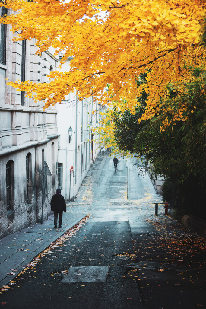 Photographie de rue montrant une personne, de dos, descendant la rue prise en photo. La scène se passe en automne, en témoigne l'arbre couvert de feuille entièrement jaune vif.
